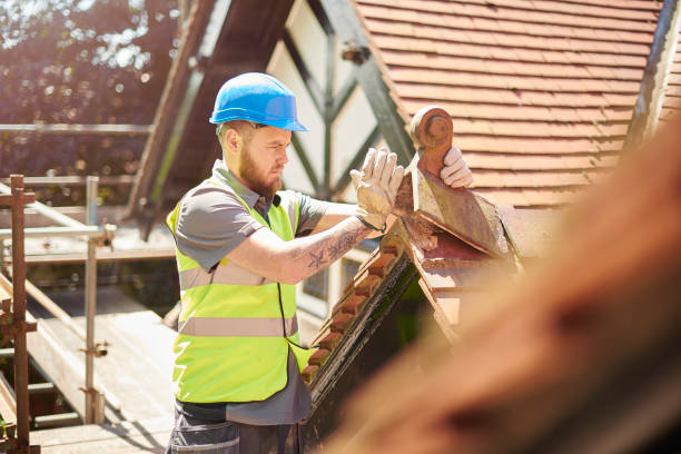Roof Gutter Cleaning in Atmore, AL