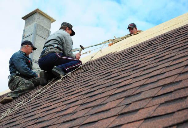 Best Storm Damage Roof Repair  in Atmore, AL